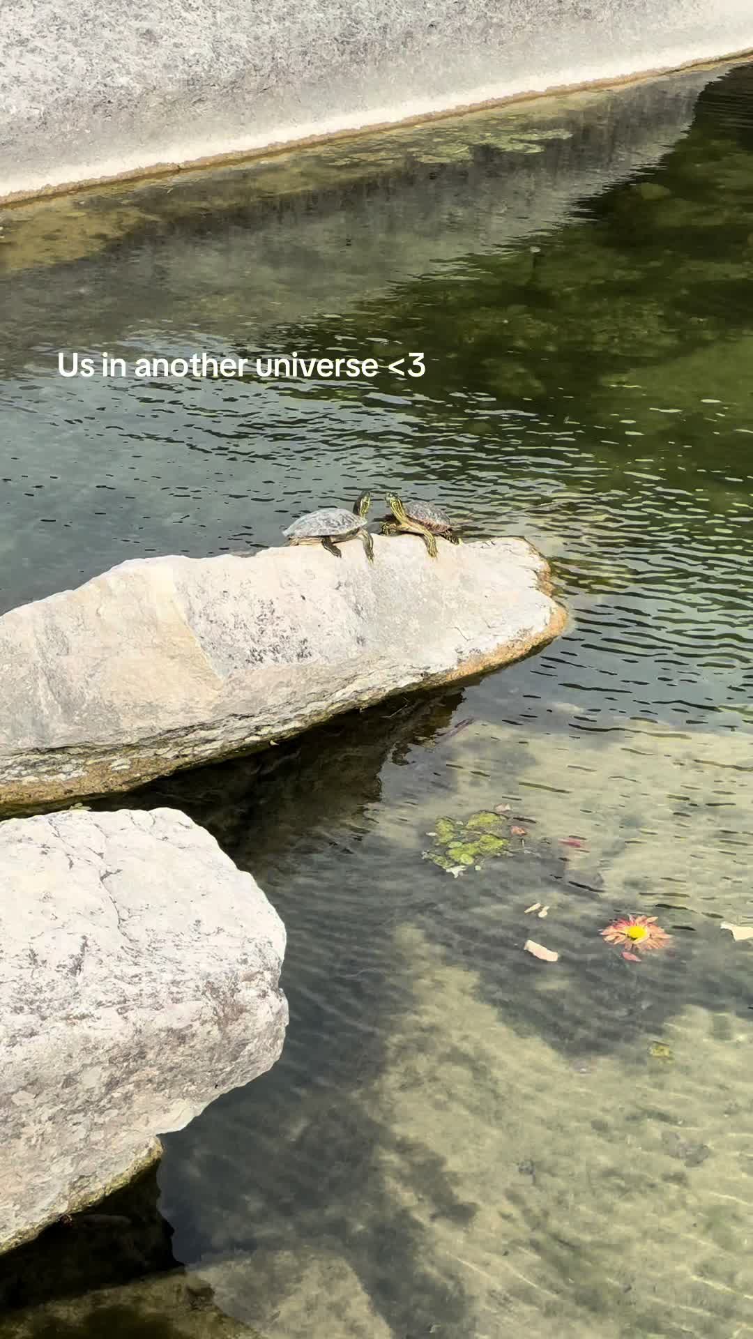 @Val Molina