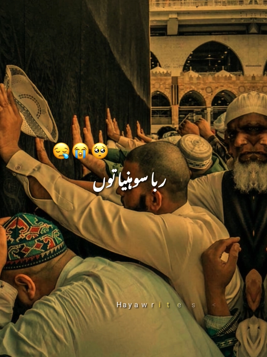 @Haya
