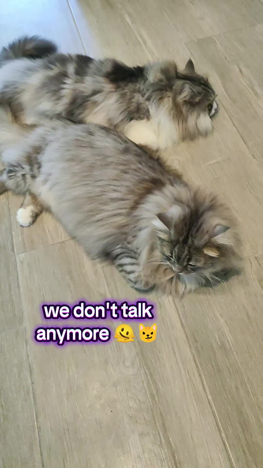 @LeonMylo