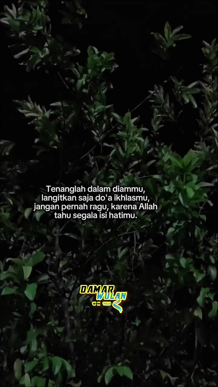 @🔱     Damar    🔱