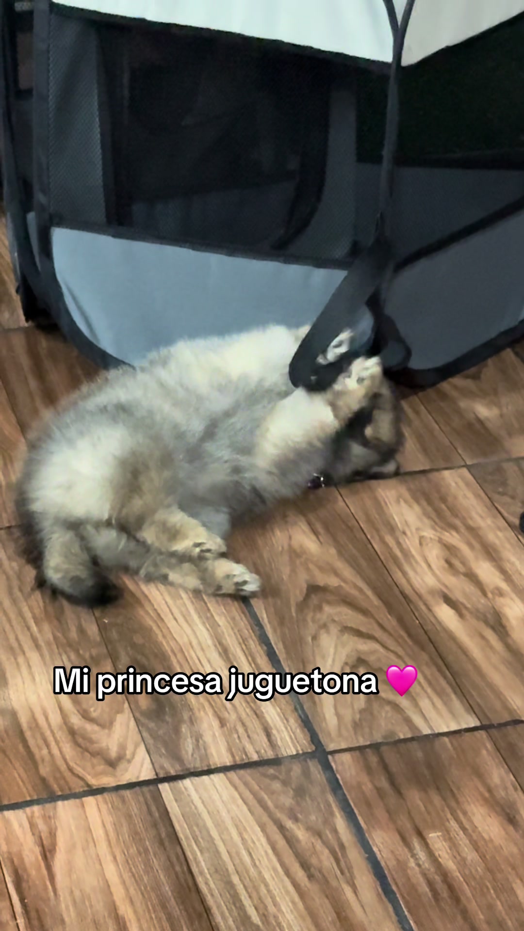@Wenn García ✨