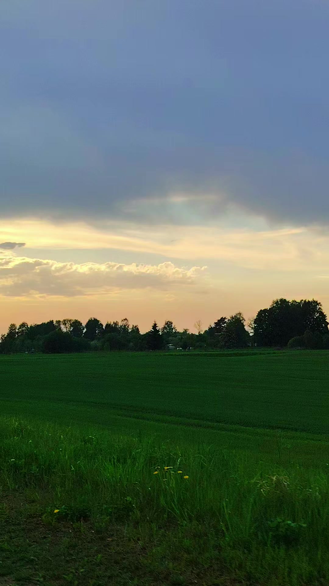 @Инна_🇧🇾🇧🇾🇧🇾_