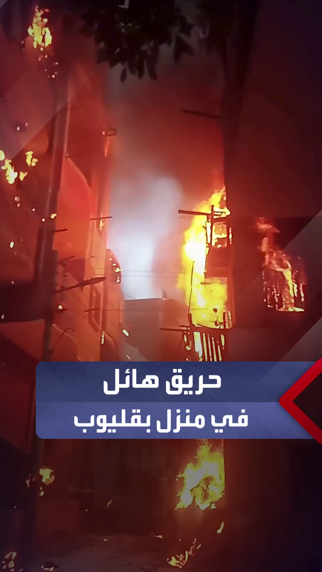 @العربية مصر