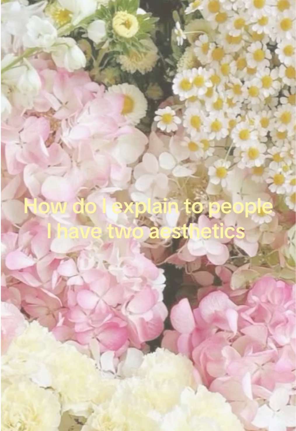 @christopher.westbrook