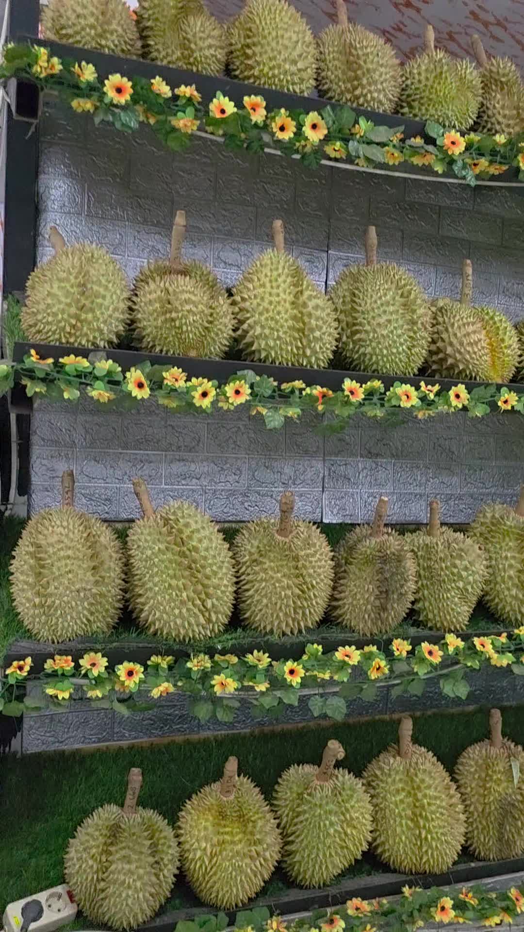 @Kenzhi Durian Tuban