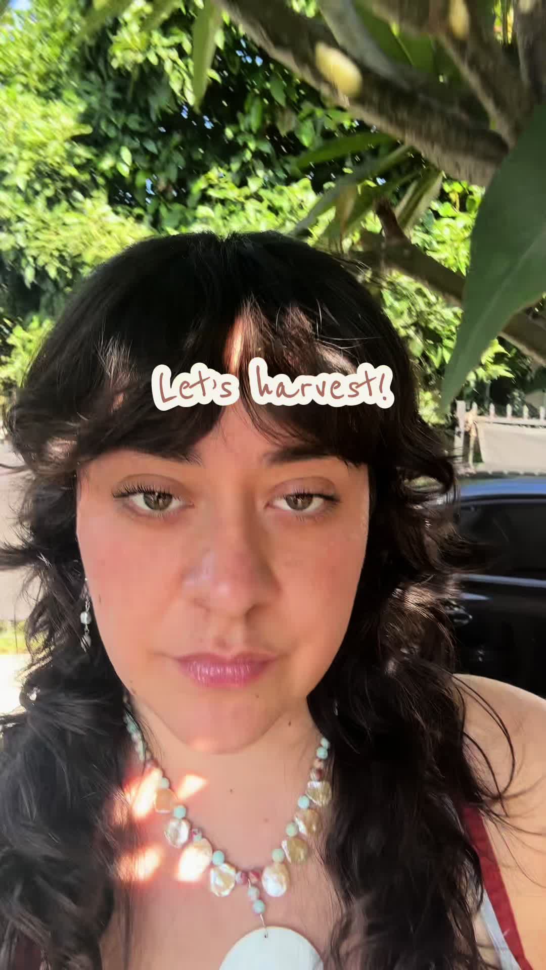 @sabrini