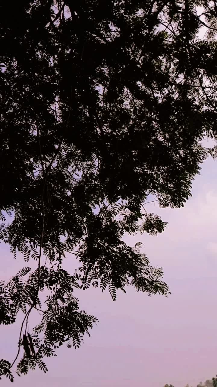 @❤️᭄Aʟɪᴢᴀ