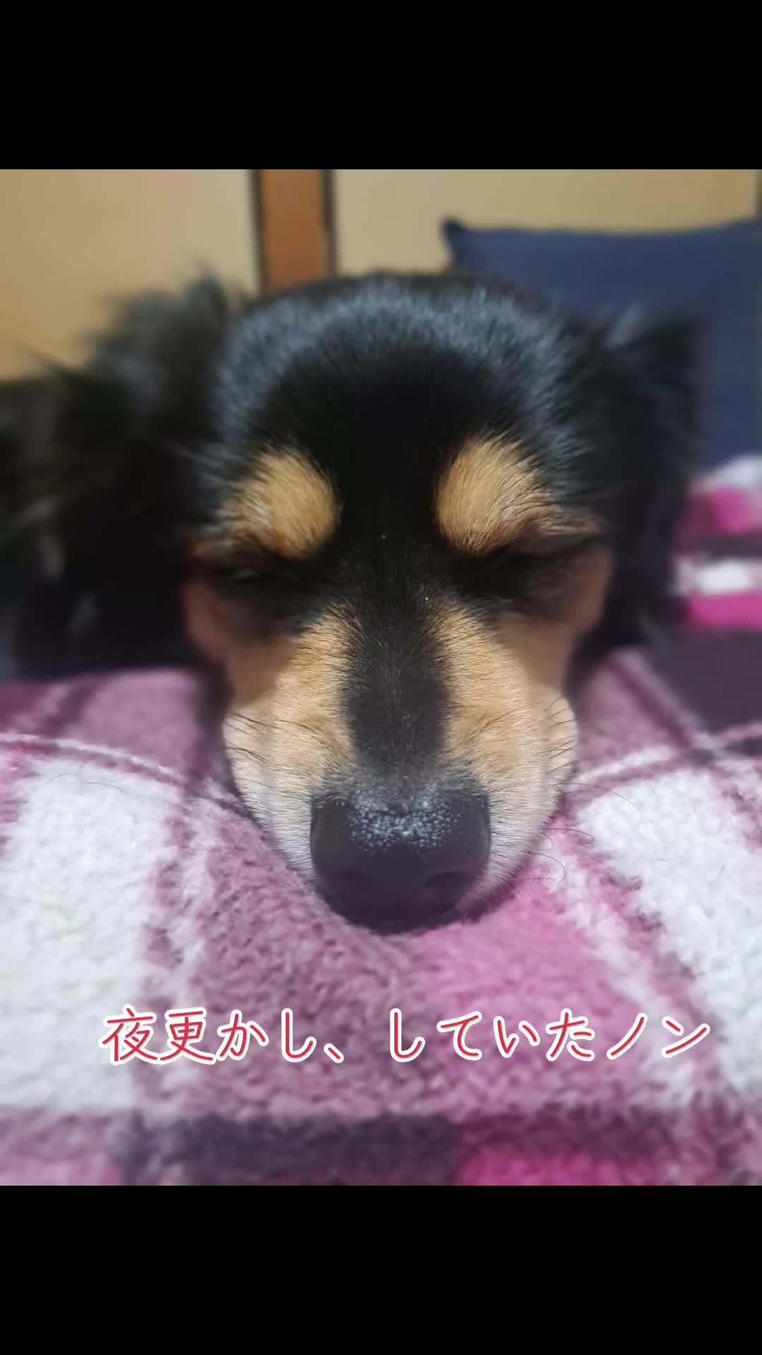 @タケヤッコ