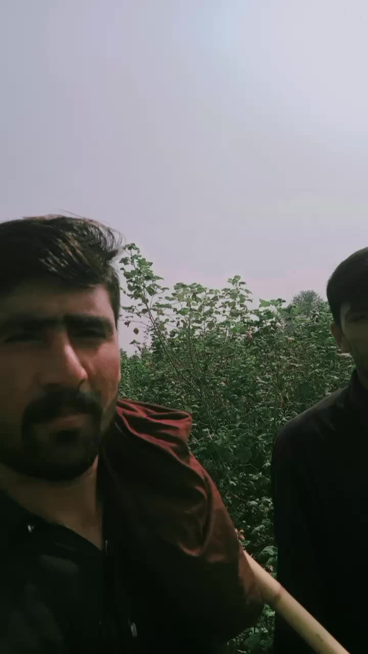 @MIAN ZIAOULLAH