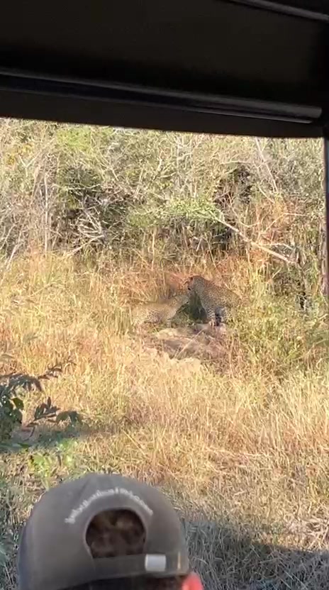 @Jabulani Safari