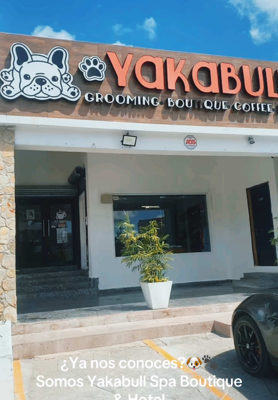 @🐶Yakabull🐱