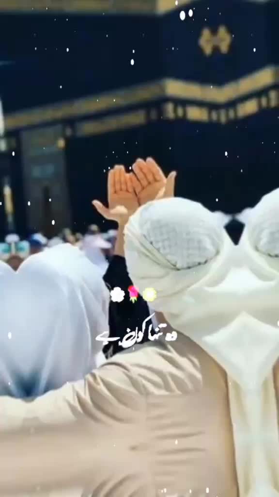 @naveed008