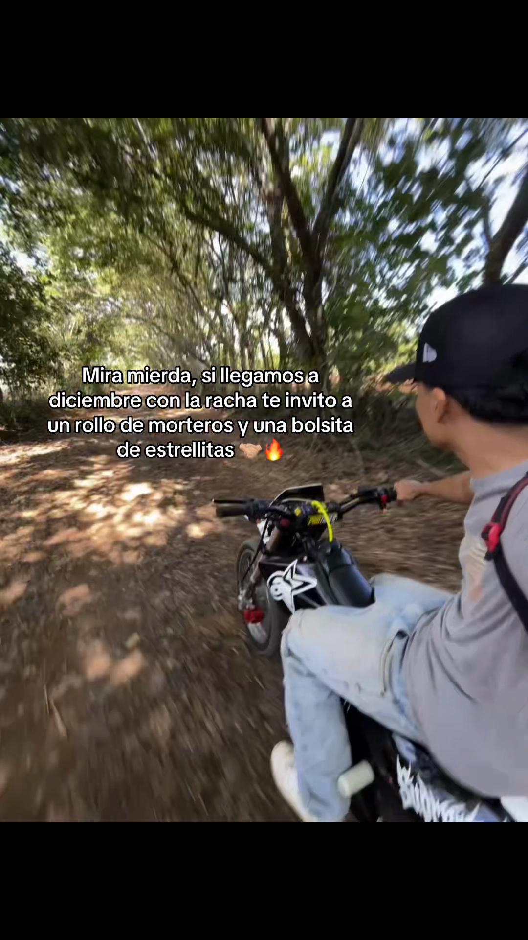 @Nelson 🦍