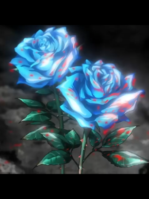 @〆Zyrvak