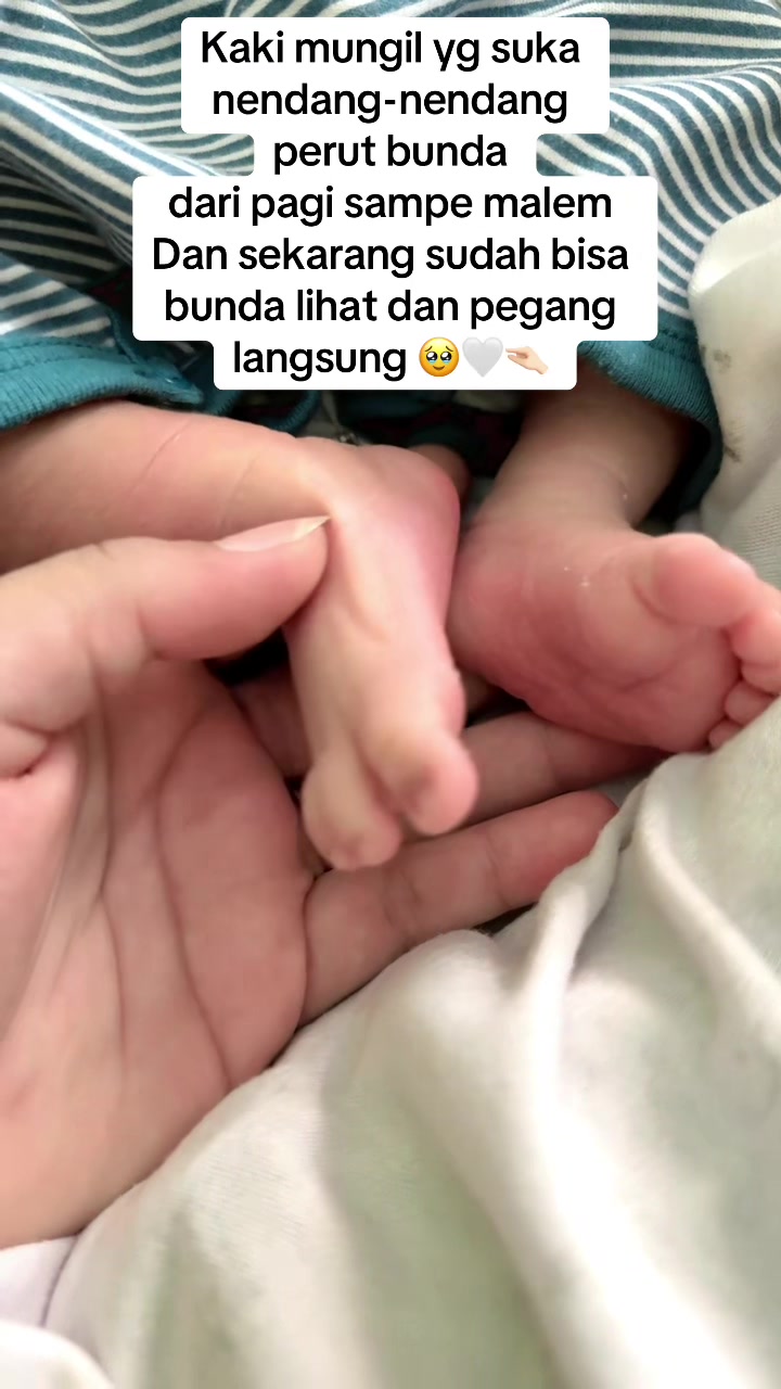 @ddgrTK