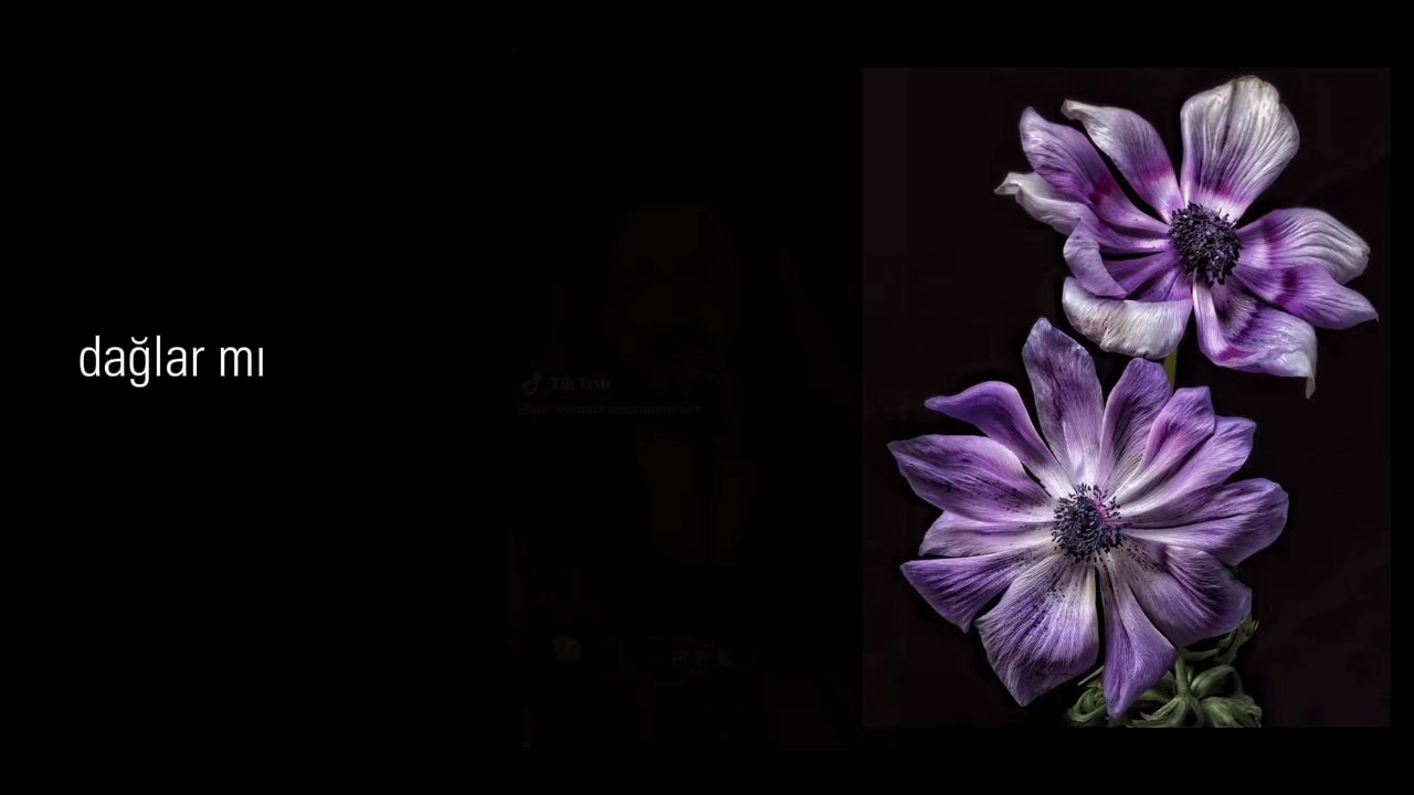 @✮⋆˙