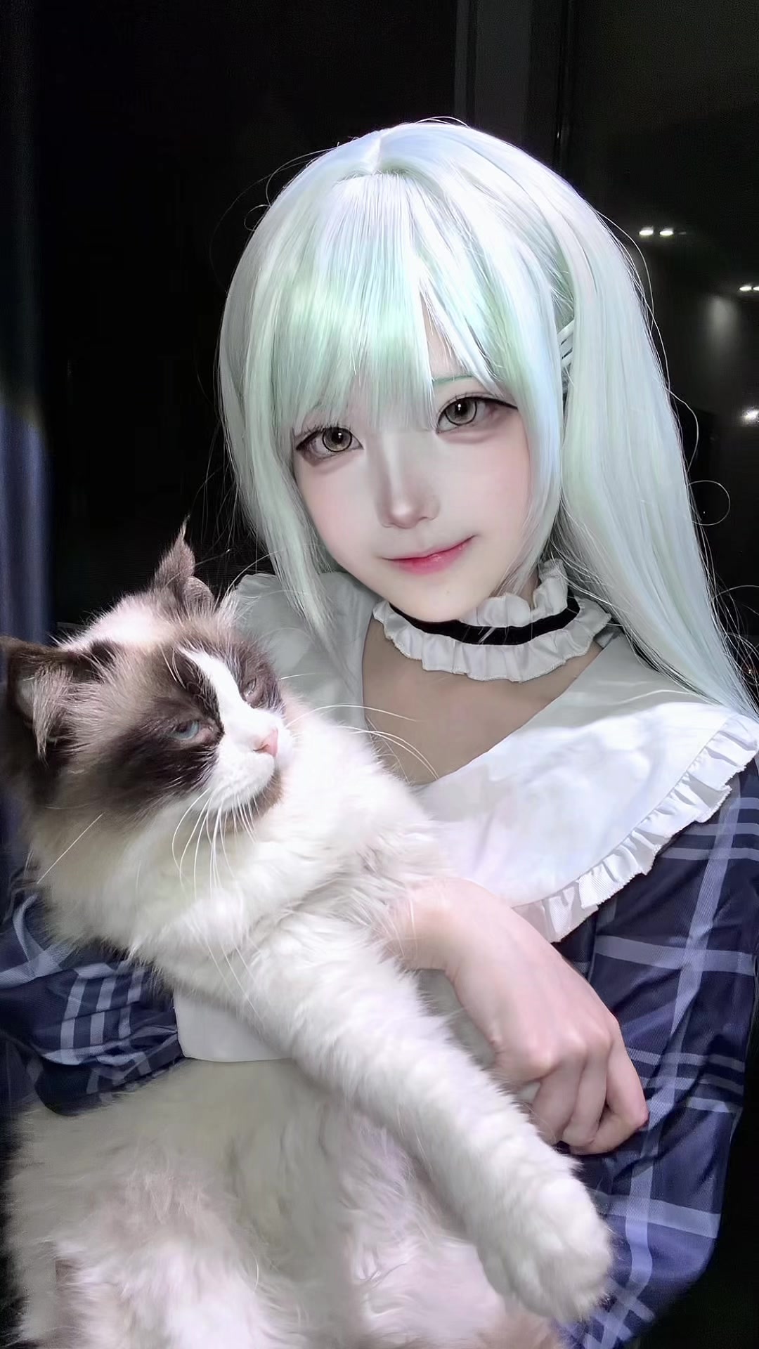 @Nozarashi