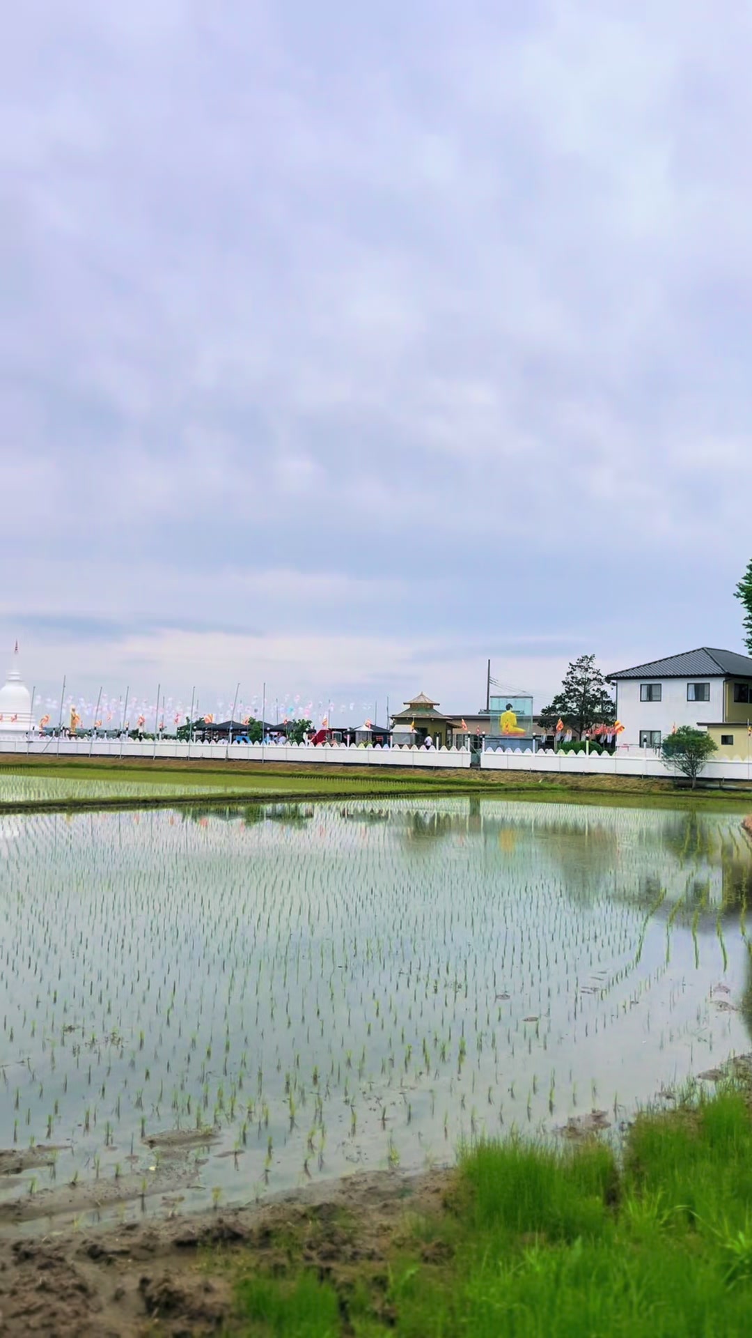 @Lochana Sasanka_🇱🇰🇯🇵