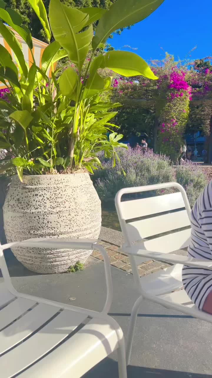 @Yashu❤️❤️