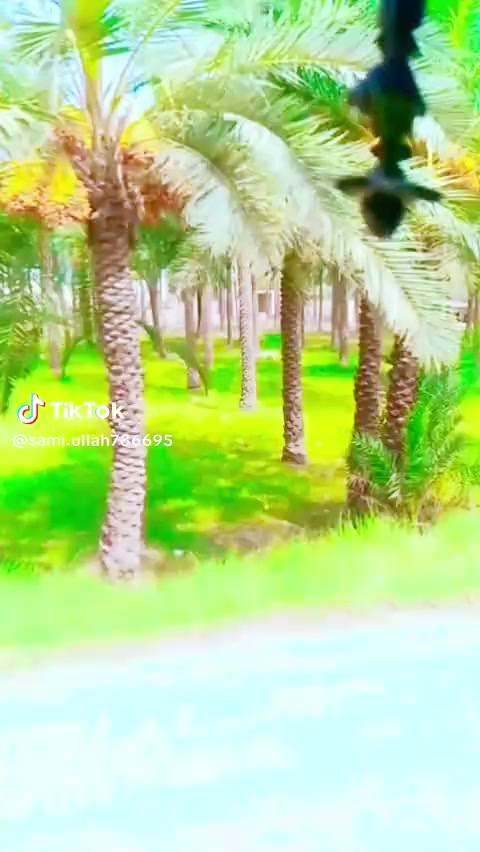 @سمیع اللہ کا کافی بلوچ❣️❣️🦅🚛