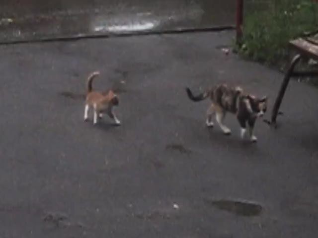 @мраквглазах
