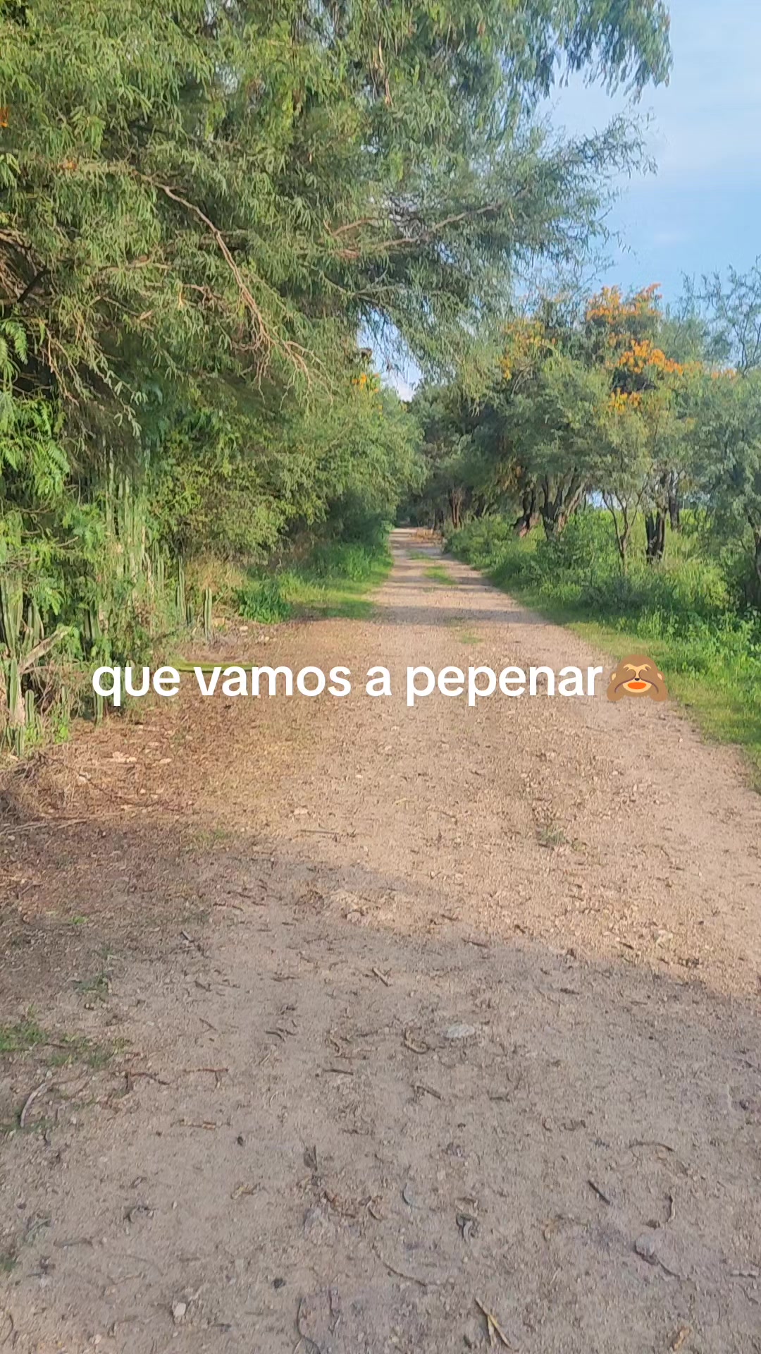 @Lauris