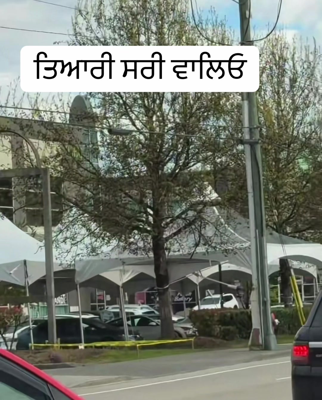 @Goodvibesonly