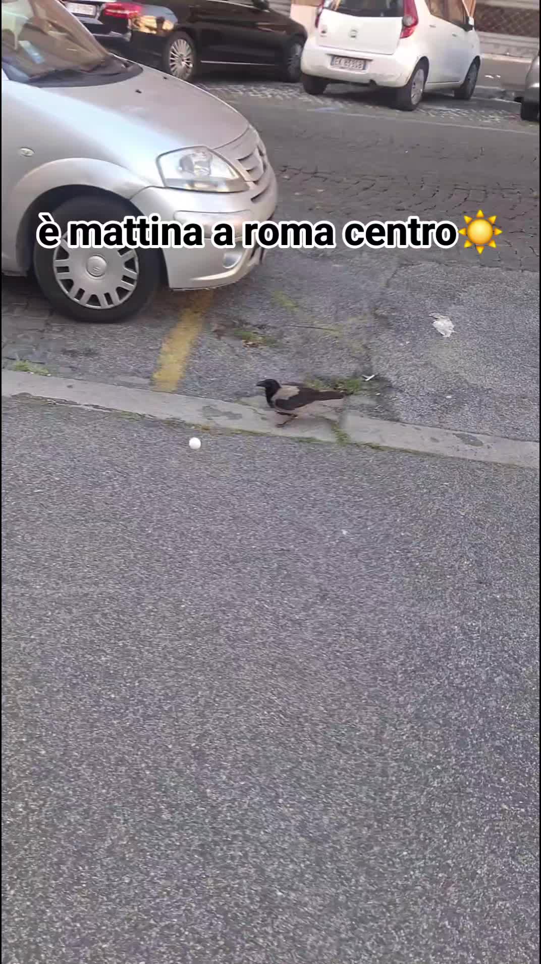 @Alessia Donzelli