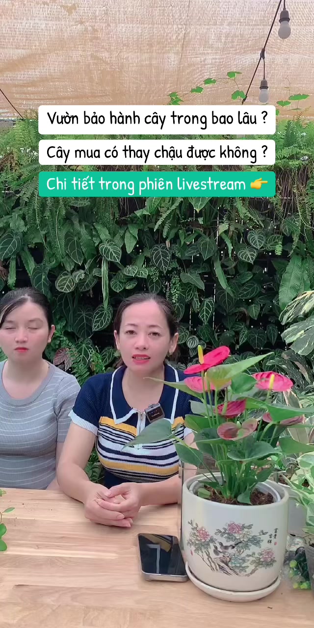 @Vườn Hồ Hân