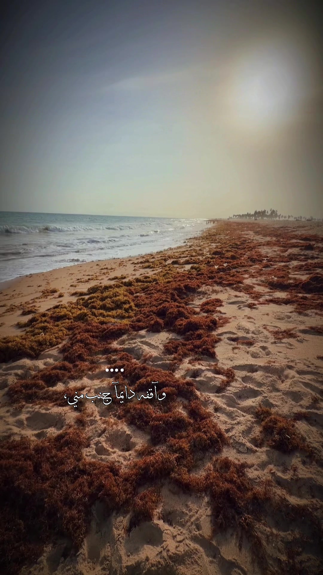 @دعم الحسابات 1