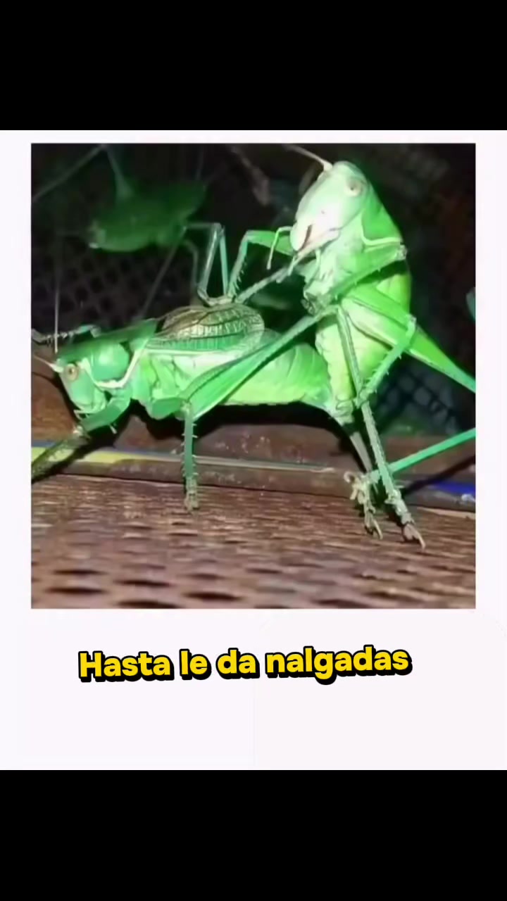 @Ruben Villalba-