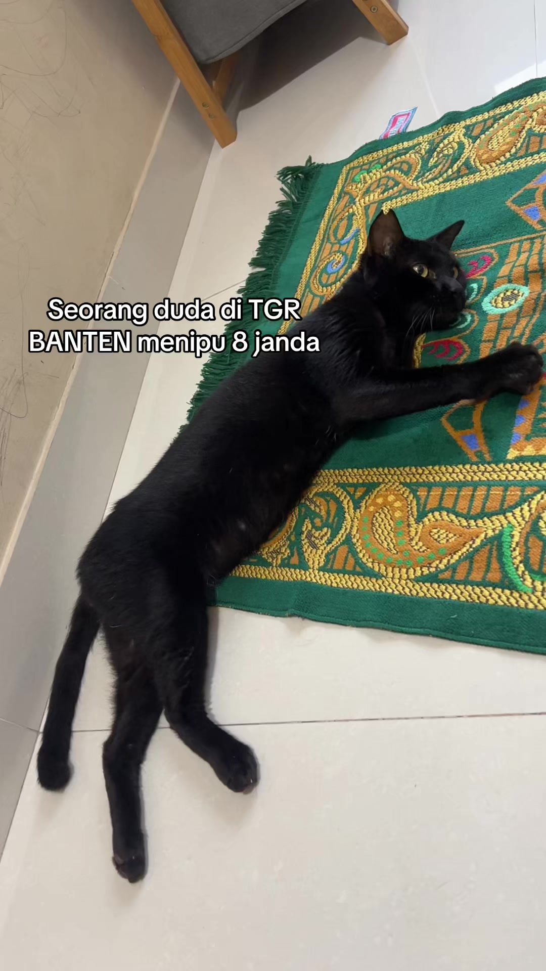 @Haqhaqcatsnfams