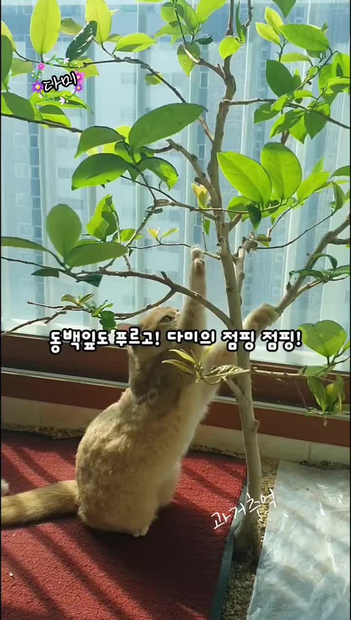 @올마인드