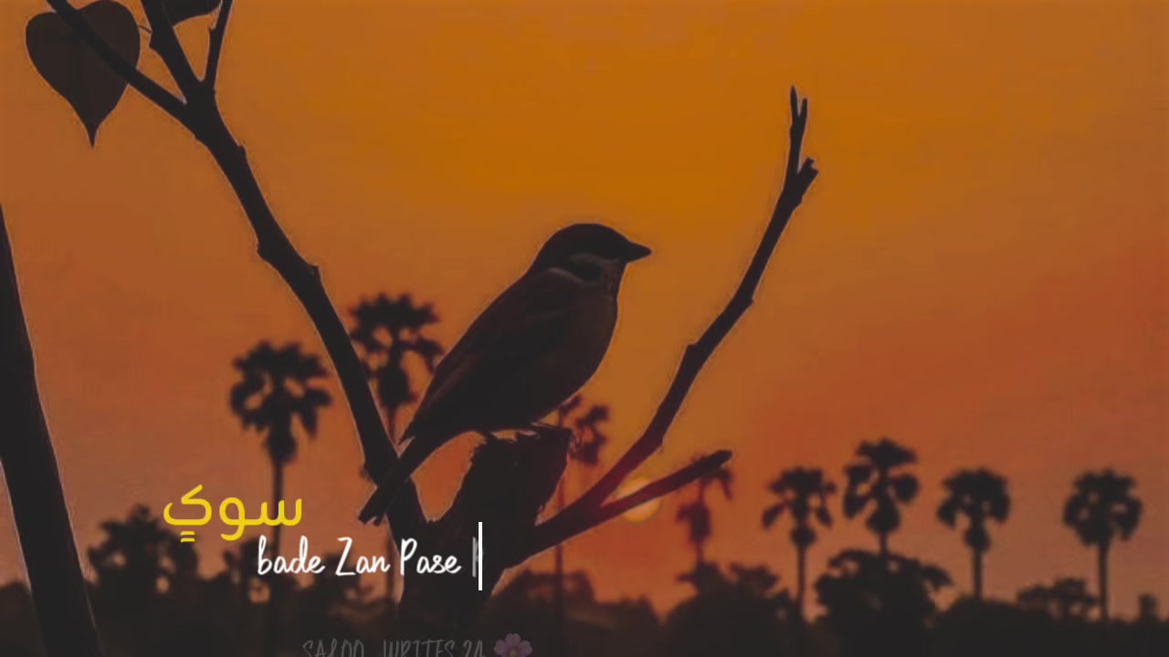 @𝐒𝐀𝐋𝐎𝐎_𝐖𝐑𝐈𝐓𝐄𝐒 🌸