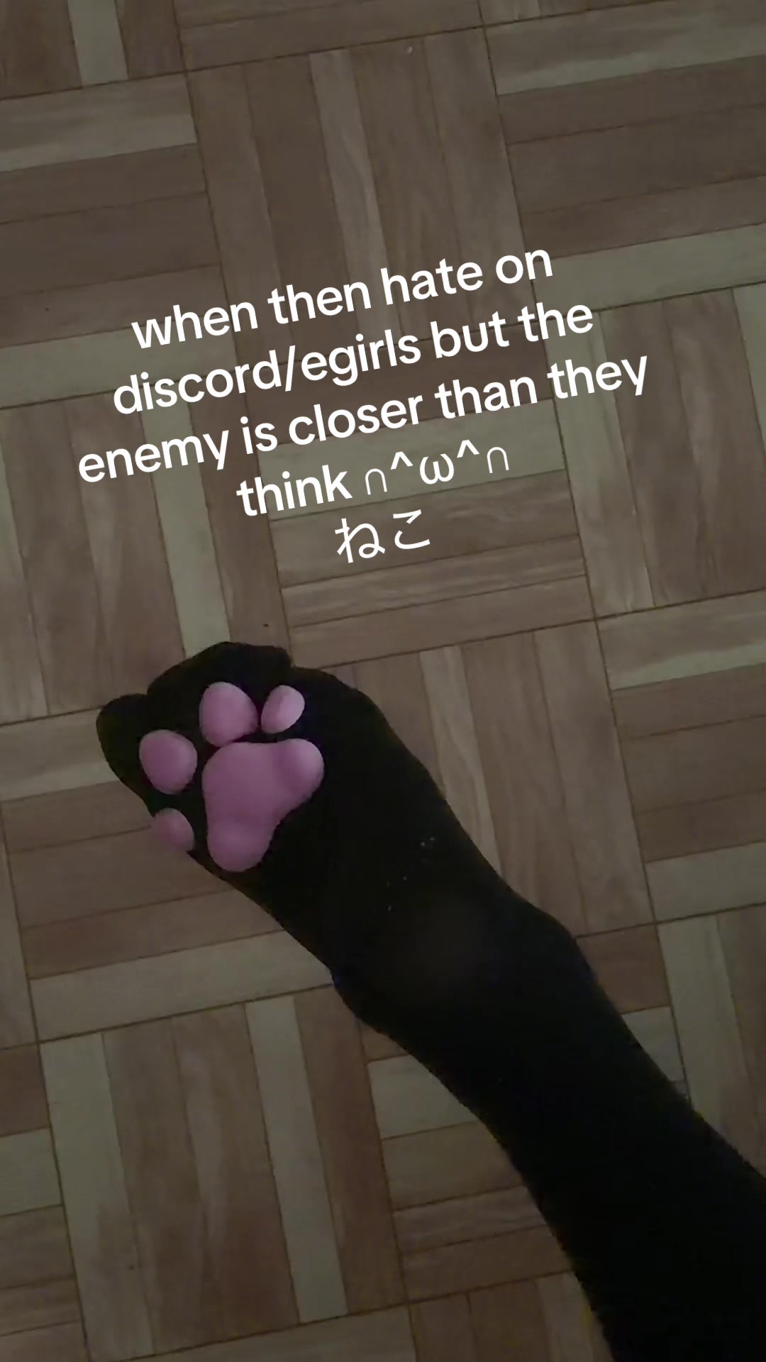 @jealousywhore