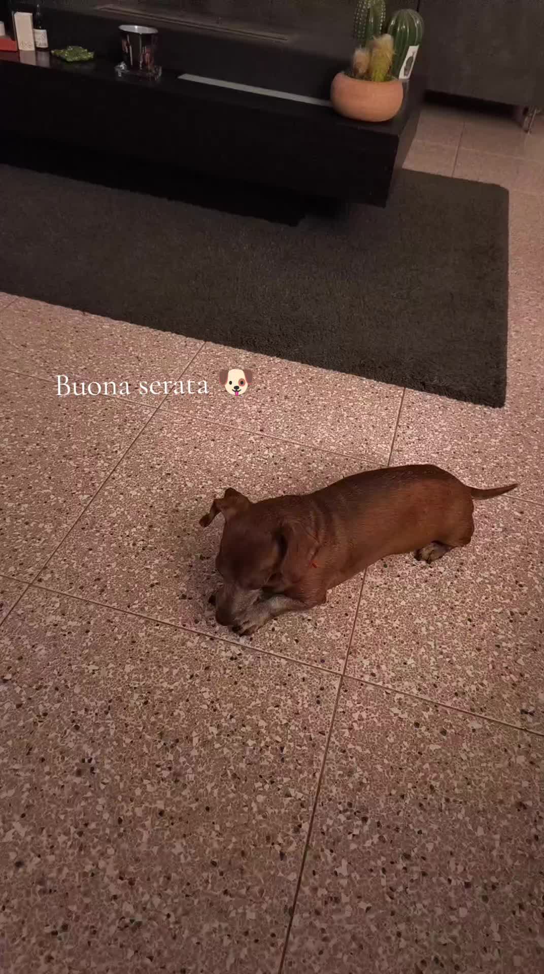 @Marta e Jj