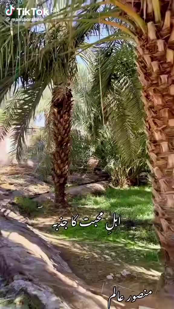 @Mian.lmran