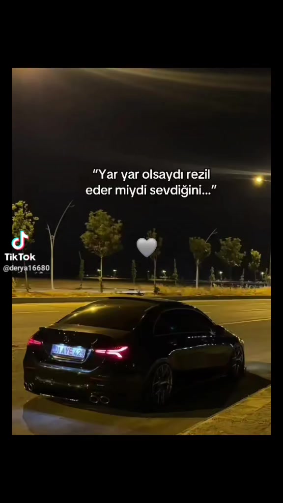 @Elif Taş