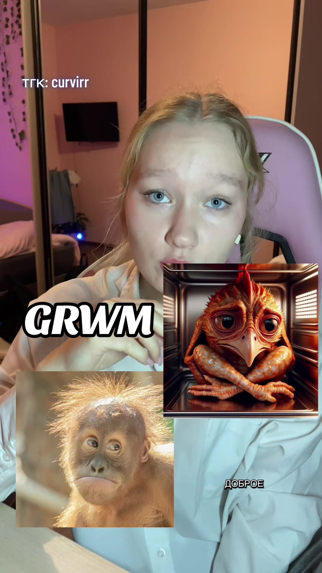 @curvirr