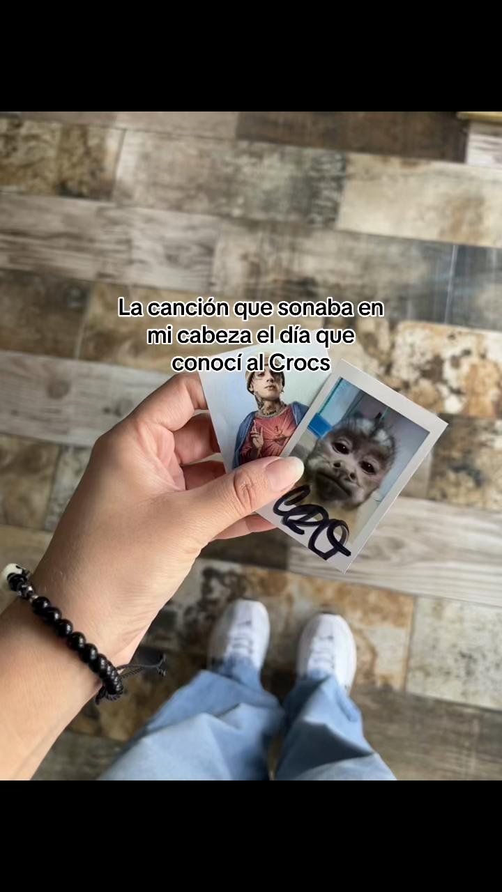 @Yuyu