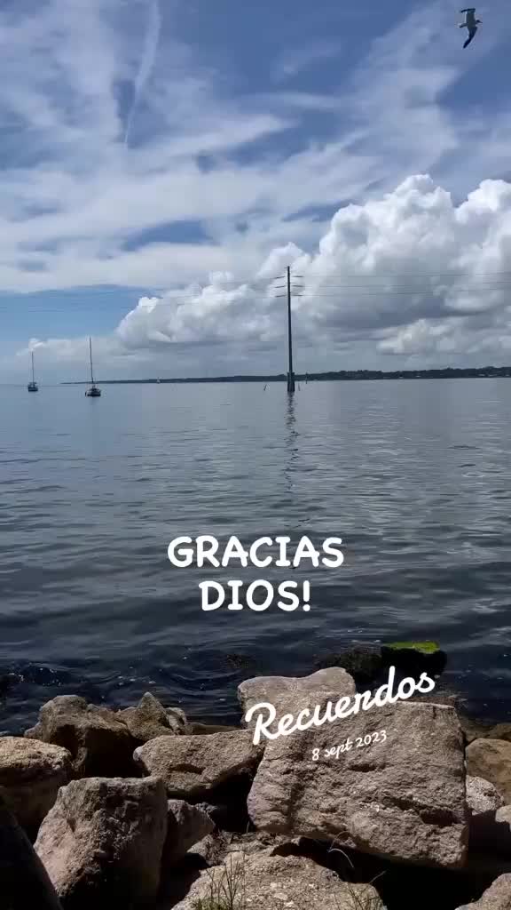 @CARMEN RIVERA