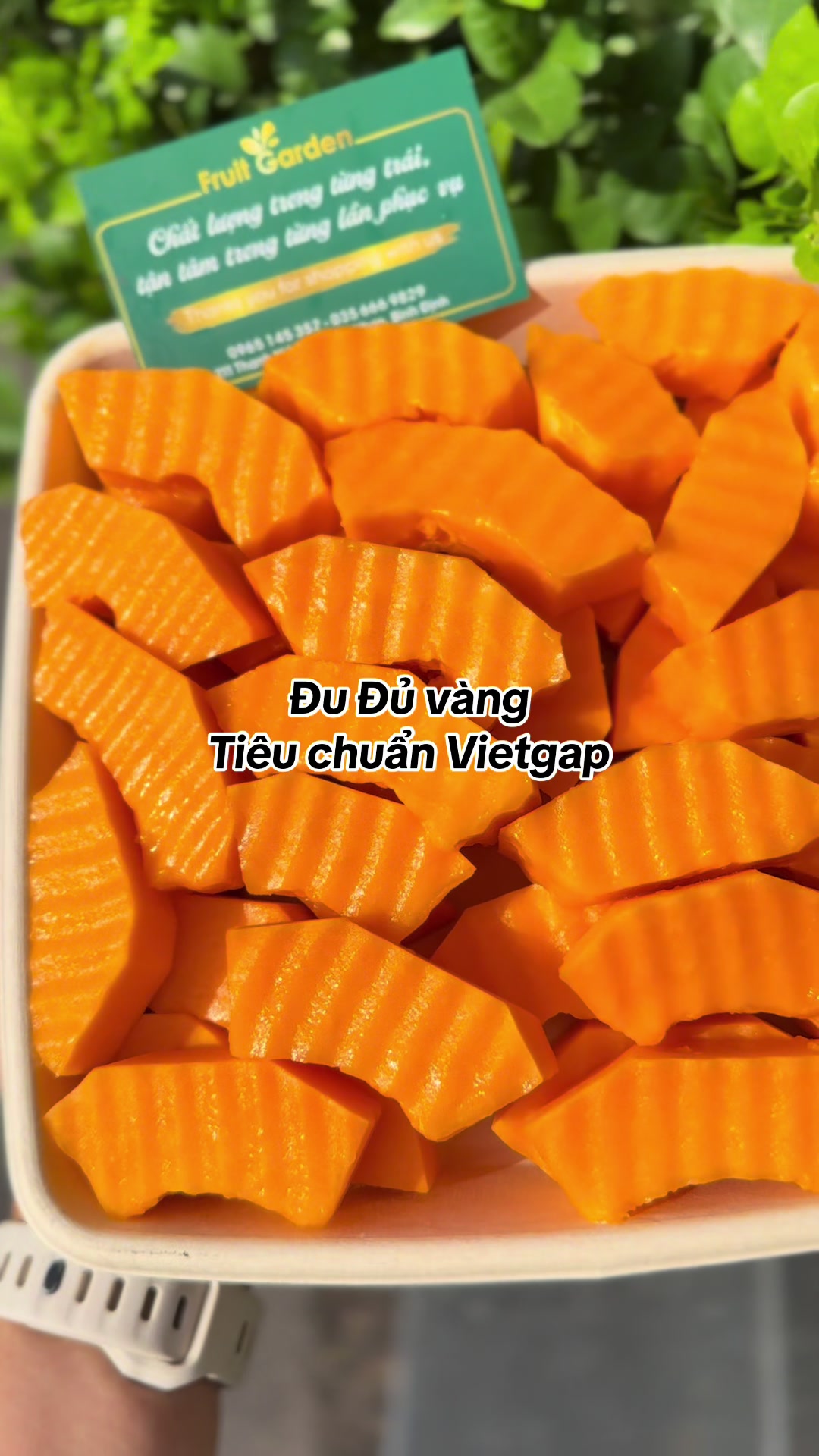 @Diệp Thị Thu Thảo