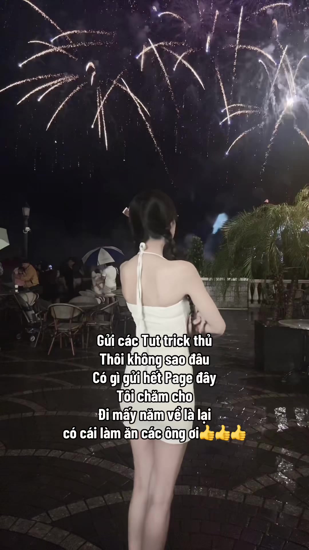 @Mancci