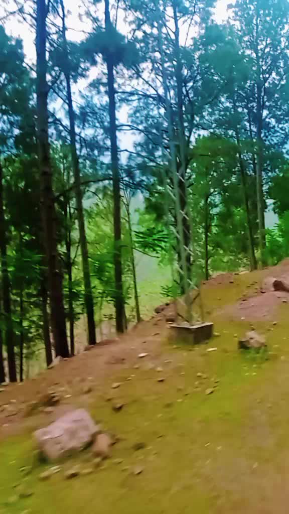 @raja babar
