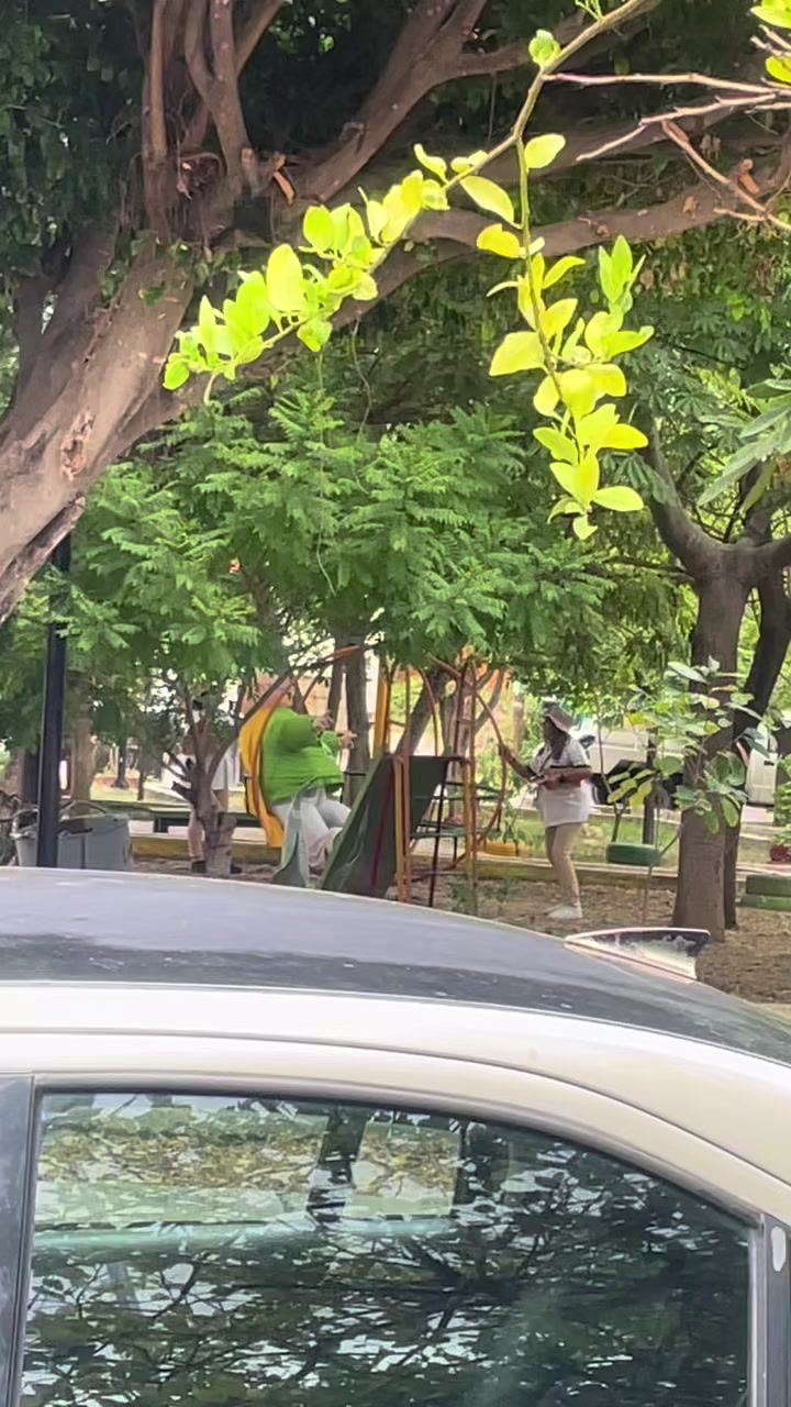 @Luis Serrano Rios