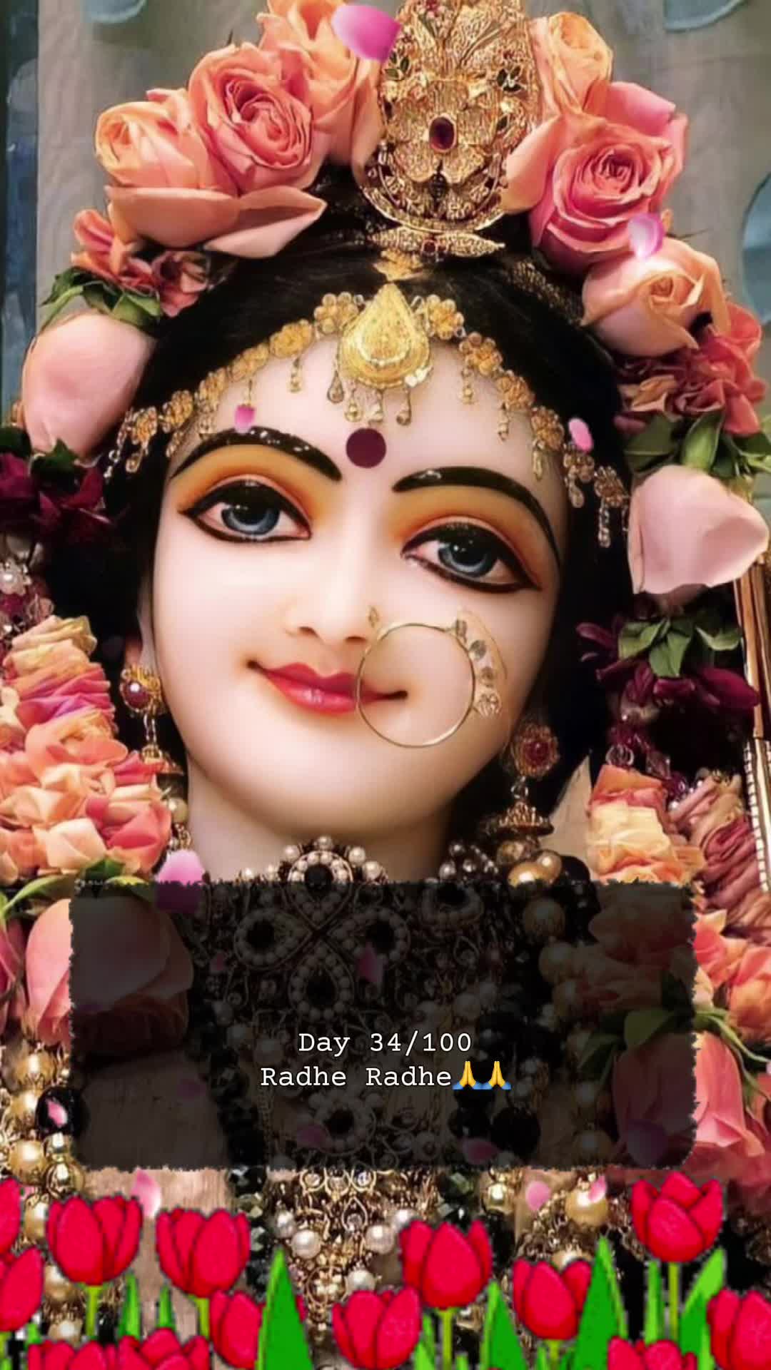 @RadheKrishna🦚🦚🙏🙏