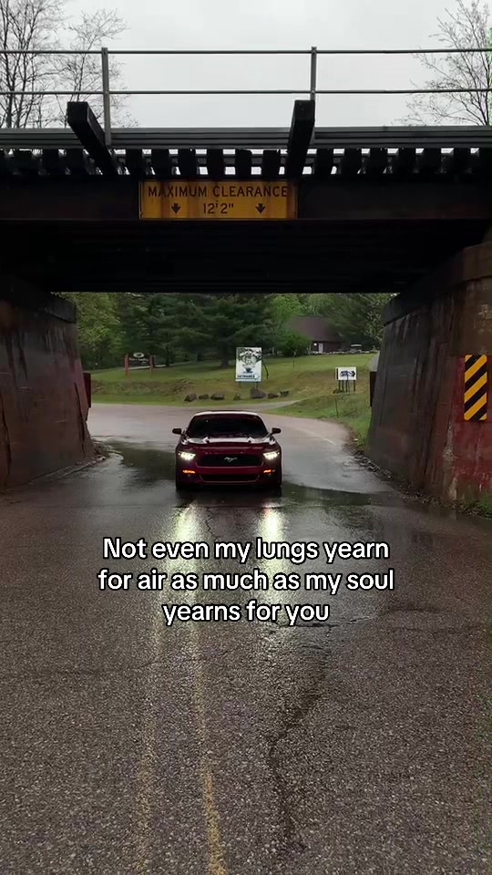 @Elijah Turner