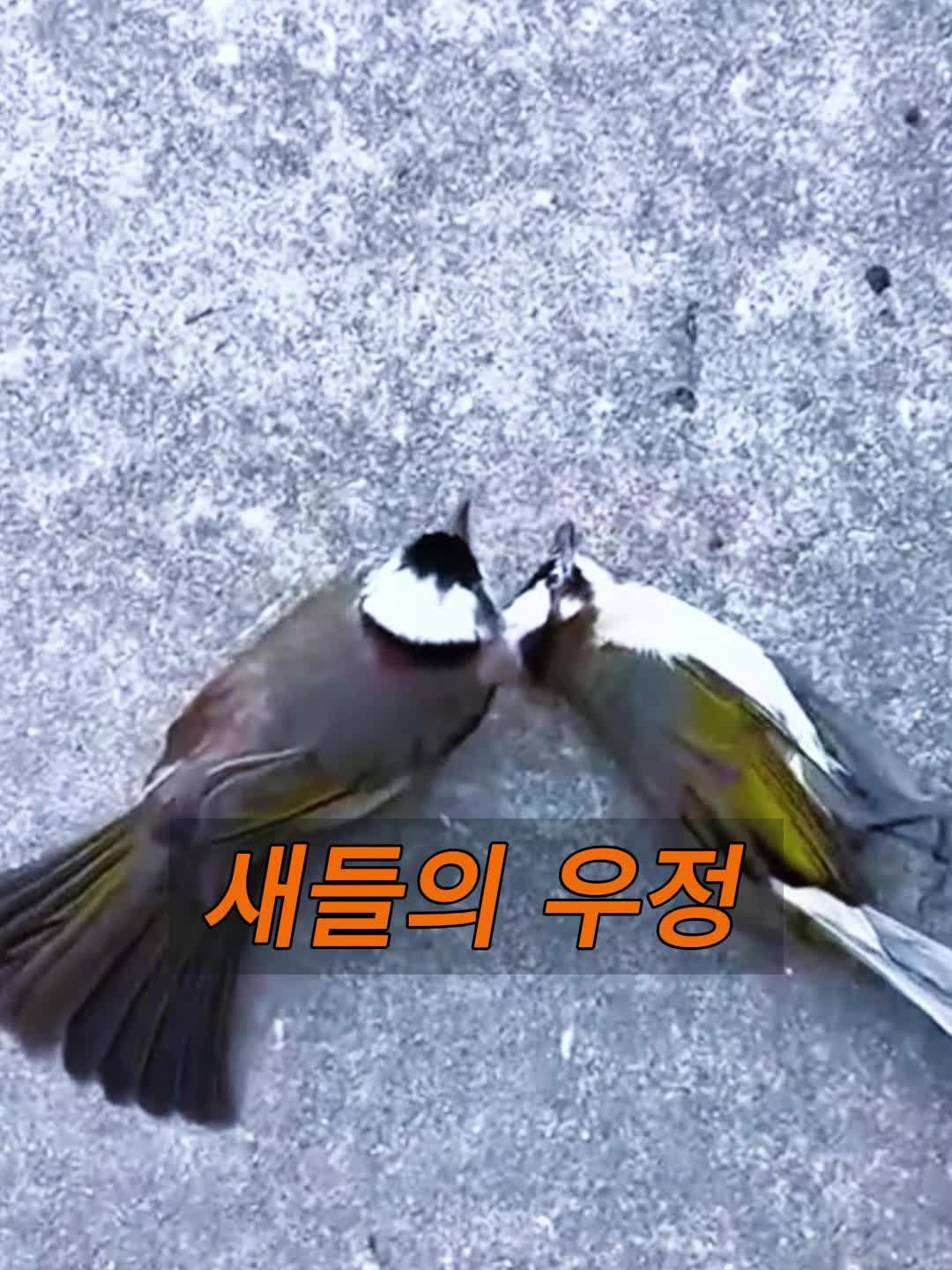 @삼촌Cut2025