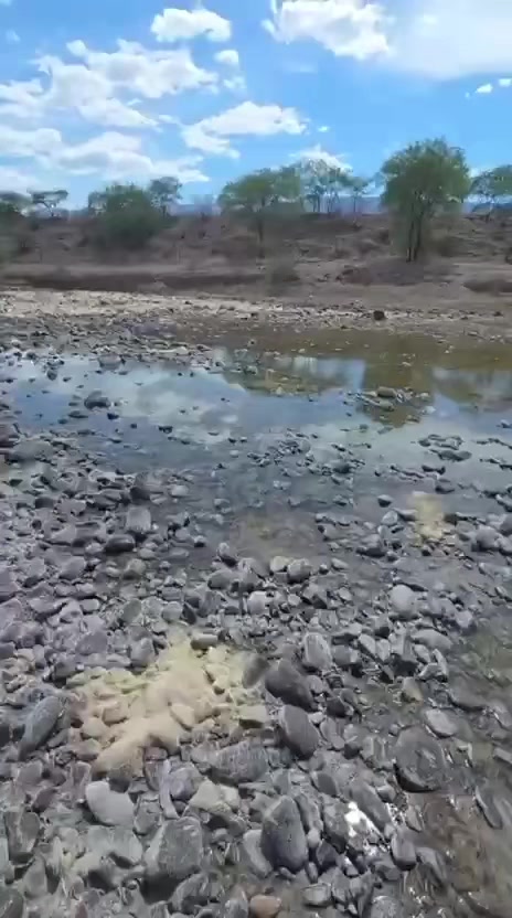 @Nostic Jalisco, México