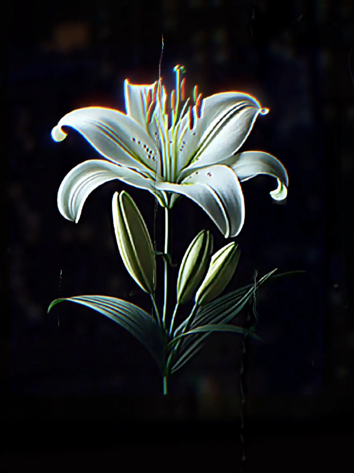 @PRANX